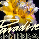 Paradise x Loveland ADE 2026 – vrijdag 23 oktober 2026, Mediahaven Amsterdam
