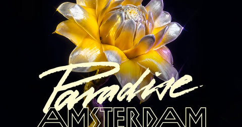 Paradise x Loveland ADE 2026 – vrijdag 23 oktober 2026, Mediahaven Amsterdam
